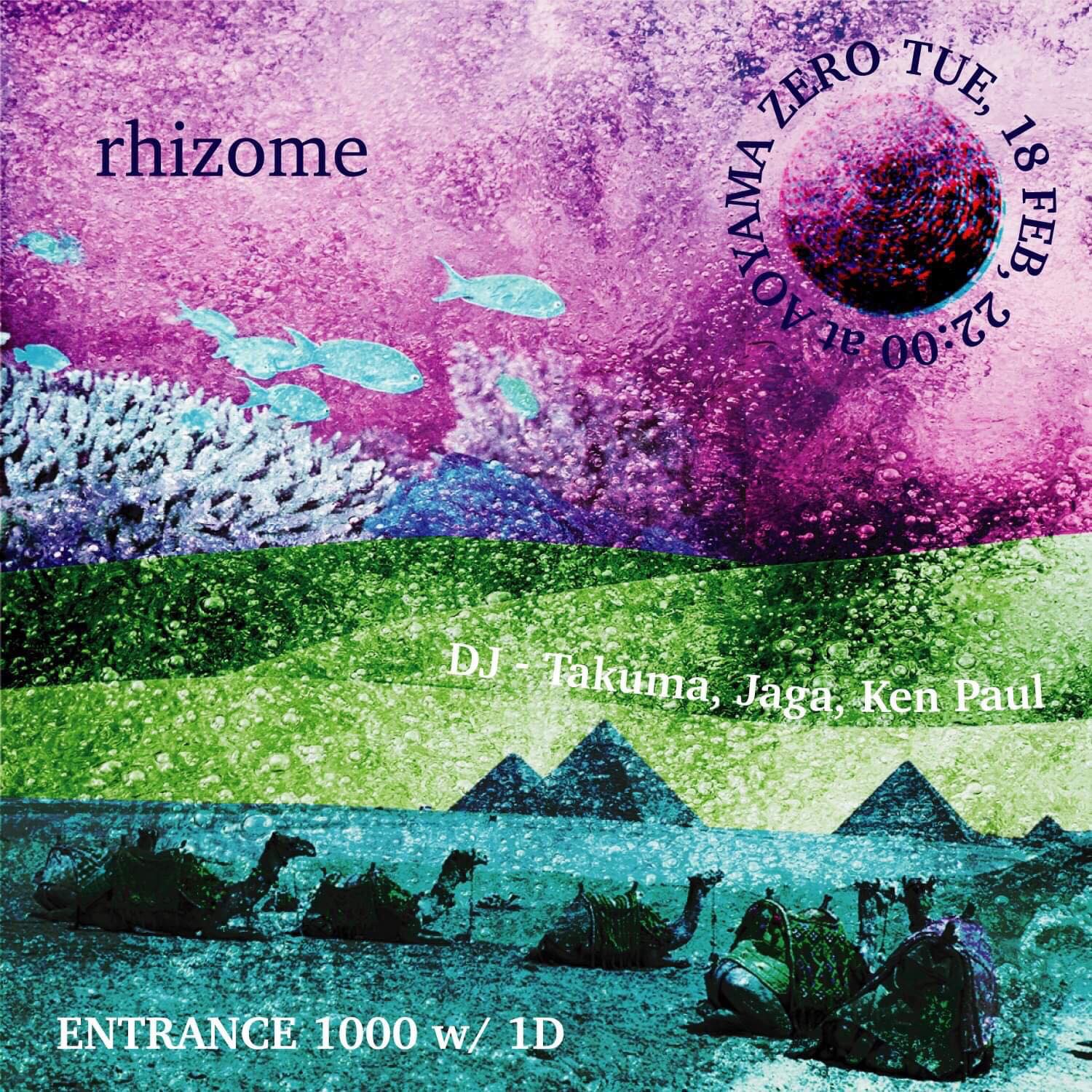 rhizome