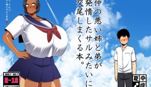 仲の悪い姉と弟が発情したサルみたいに交尾しまくる本。 （夏中症）