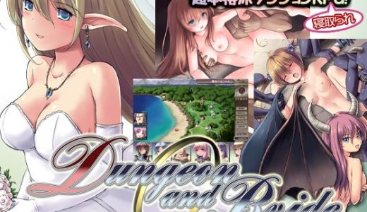 ダンジョンアンドブライド （まくらカバーソフト）